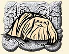 Питомник Пекинесов "Мирка"_Kennel of Pekingese "Mirka"